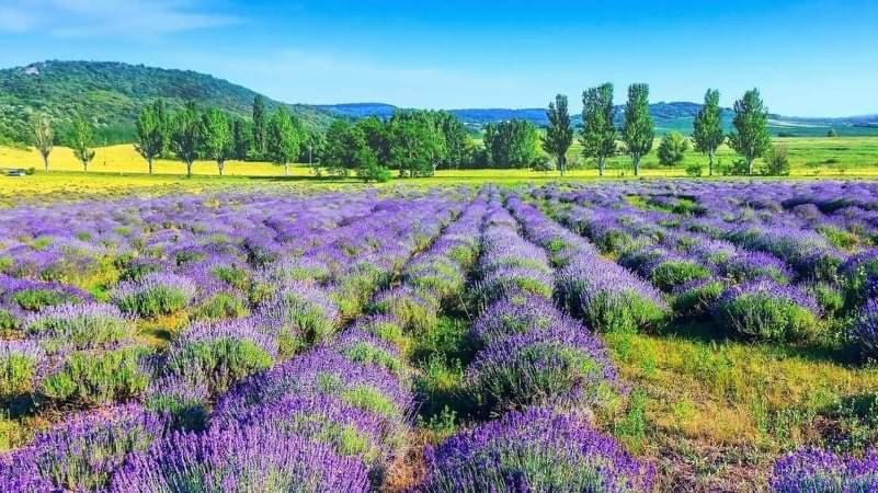 Legkondicionalt, Erkelyes Szoba, Privat Fuerdovel A Balatonon Koroshegy Ngoại thất bức ảnh